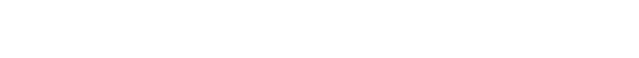 AI Chamber CEE